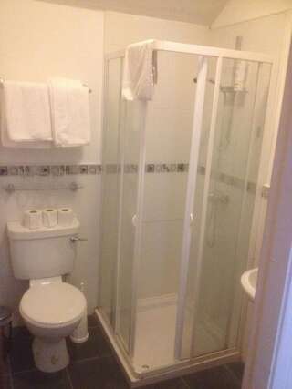 Гостевой дом Glendine Inn Килкенни Двухместный номер с 1 кроватью-3