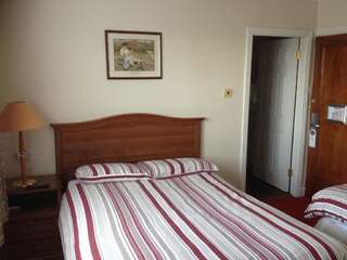 Гостевой дом Glendine Inn Килкенни Двухместный номер с 1 кроватью-6